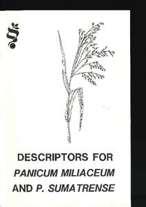 Descriptors for Panicum miliaceum and P. sumatrense | Alliance ...