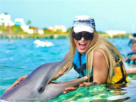 Vive La Experiencia Del Nado Con Delfines Playa Del Carmen Turismo Tips