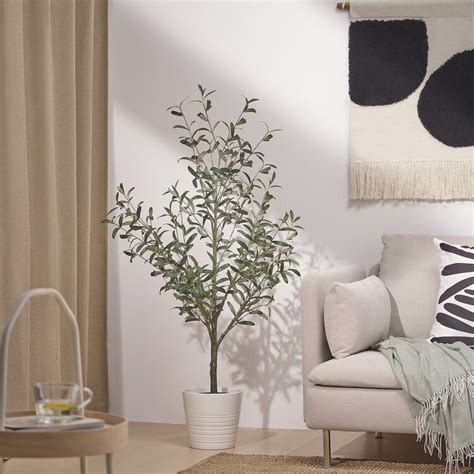 Fejka Planta Artificial Intext Olivo 19 Cm Ikea Mexico