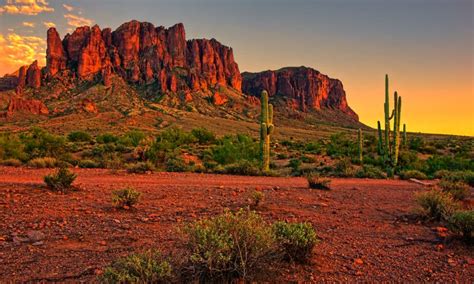 Khám phá con sư tử núi lớn nhất từng bị bắt ở Arizona ilikevn1689のblog