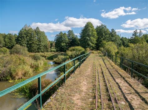 Puszcza Białowieska 21 atrakcji i miejsc do zobaczenia w Białowieskim