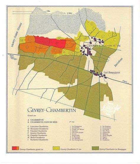 1969 French Wine Map Vintage Gevrey Chambertin Vin De France