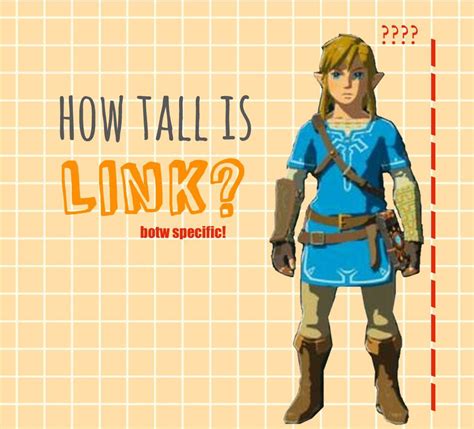 How Tall Is Link Botw Zelda Amino