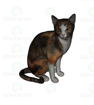 3d model Barsik the Cat 3 | 10840 | 3dlancer.net