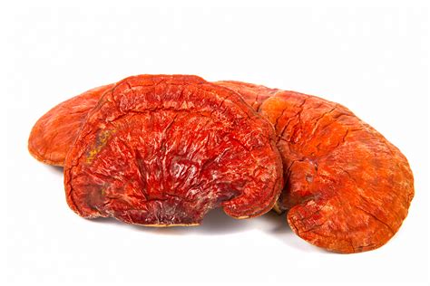 Getting to Know the Health Benefits of Reishi Mushrooms – The Superfoodist