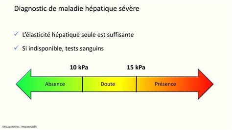 Recommandations Pour L Limination De Linfection Par Le Vhc En France