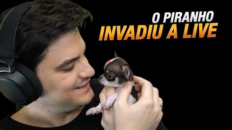 O PIPI INVADIU MINHA LIVE YouTube