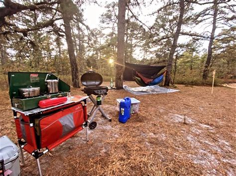 Wharton State Forest Bodine Field Campground Camping The Dyrt