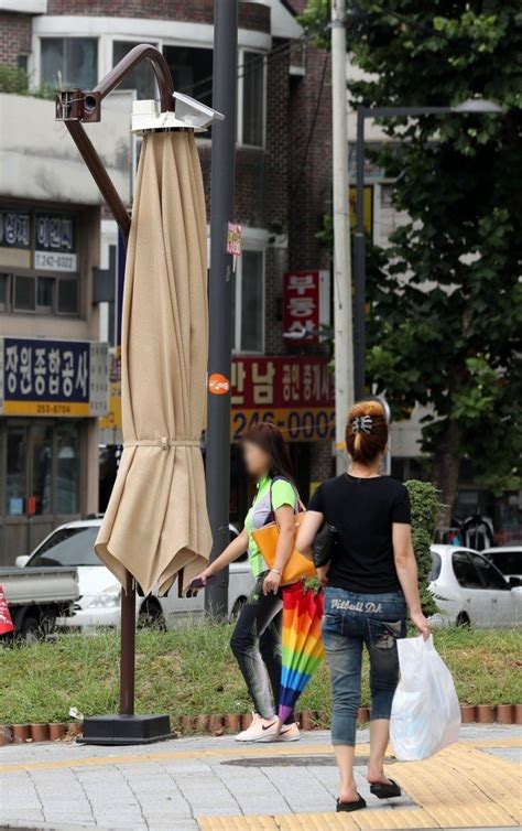 태풍 솔릭 북상 서울 초등학교 휴업 직장은 안 쉬는데 Vs 안전이 우선 한국경제