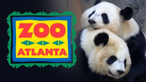 Zoo Atlanta | Atlanta zoo, Zoo, Atlanta