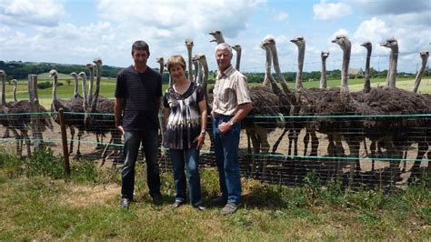 La Ferme Aux Autruches S Nergues Tourisme Aveyron