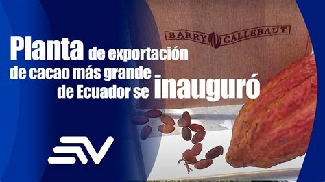 Planta De Exportación De Cacao Más Grande De Ecuador Se Inauguró Youtube