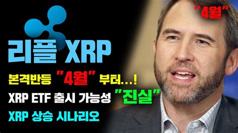 리플 Xrp 긴급 Xrp Etf 출시 가능성 본격반등 4월 확정 정확도 100 전망분석 코인시황