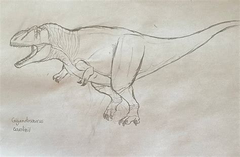 Accurate Jwd Giganotosaurus By Helenashellhouse On Deviantart