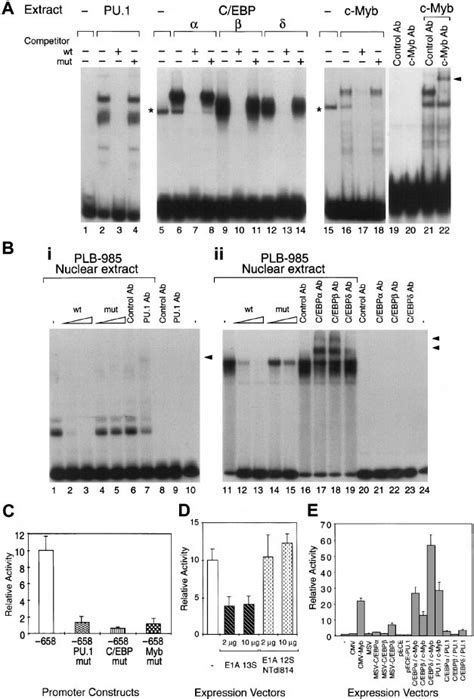 Functional Pu 1 C Ebp And C Myb Binding Sites Are Present In The