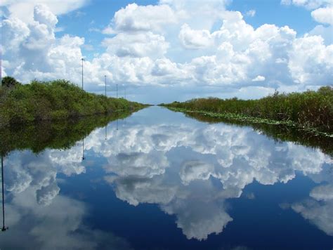 T.M.Colt Photography: Alligator Alley: The Florida Everglades