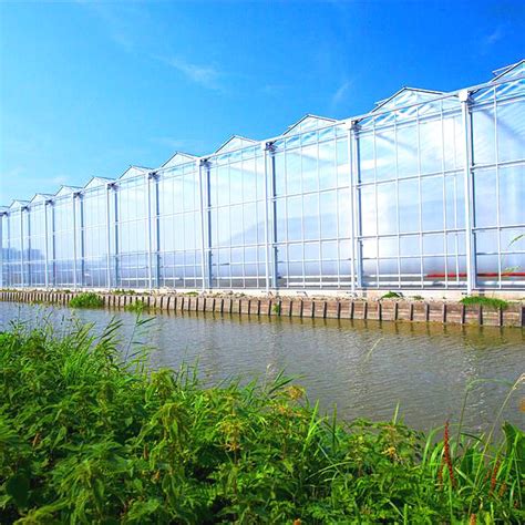 Muti Span Venlo Type Polycarbonate Greenhouse Hydroponics System Mm Pc