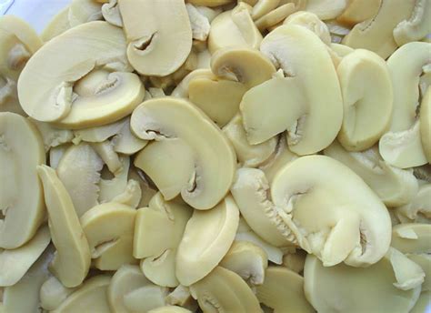 High Quality Canned Slice Mushroom A China Gis Price Supplier Food