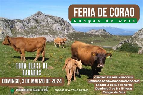 Cangas de Onís prepara la Feria de Marzo de Corao Dependemos del