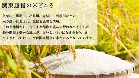 先行予約 2024年5月中旬以降発送 】 令和5年産 茨城県産米 品種 おまかせ 10kg 5kg × 2袋 コシヒカリ あきたこまち