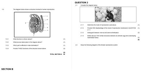 Grade Life Sciences November Paper And Memo Classroom