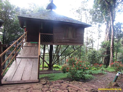 Tree House Munnar Kerala Our Experience Destination Infinity