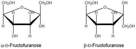 Draw the Haworth projection of D-fructose. | Quizlet