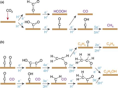 Proposed Mechanism Of Carbon Dioxide Electroreduction A Pathway To