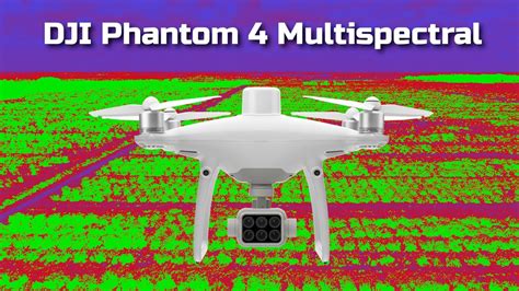 DJI P4 Multispectral | lupon.gov.ph