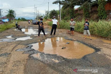 Protes Jalan Rusak Warga Bengkulu Mancing Di Jalan Berlubang ANTARA