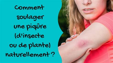 Comment Soulager Une Piq Re D Insecte Ou De Plante Naturellement Youtube