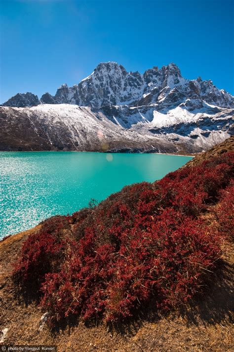 Gokyo Lakes Sagarmatha National Park Nepal Cool Landscapes