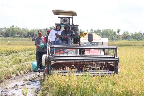 Blora Siap Dukung Indonesia Jadi Lumbung Pangan Dunia