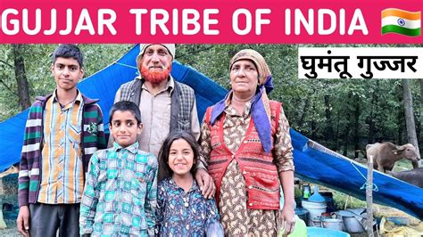 घमत गजजर कस रहत ह सल भर जगल म Gujjar tribe of