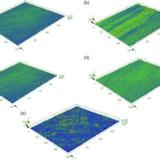 Three‐dimensional laser scanning microscopy reveals differences in... | Download Scientific Diagram