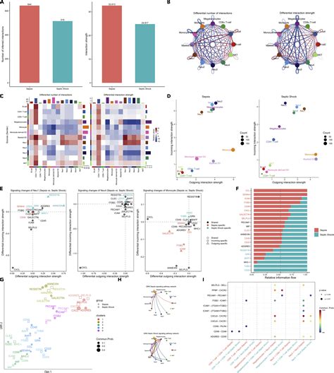 Single Cell Transcriptome Profiling Reveals Heterogeneous Neutrophils