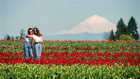 Wooden Shoe Tulip Festival In Woodburn Celebrates 40 Years