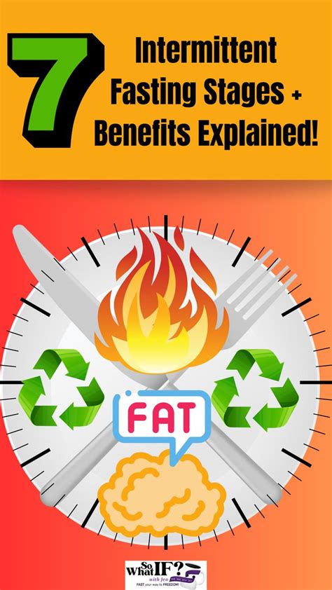 In this post we’ll take an in-depth look at 7 stages of intermittent ...