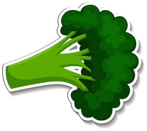 Free Vector Broccoli Sticker On White Background