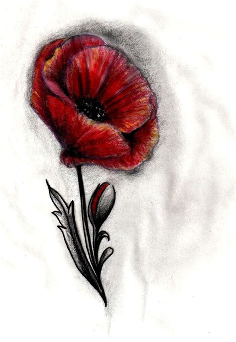 Poppy Flower Tattoo Design By Mandira Poppy Flower Tattoo Flower Tattoo Flower Tattoo Shoulder