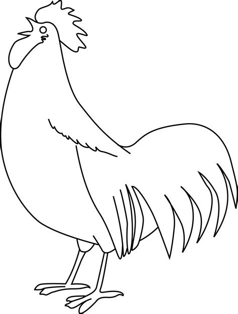 Comment Dessiner Un Coq Enligne