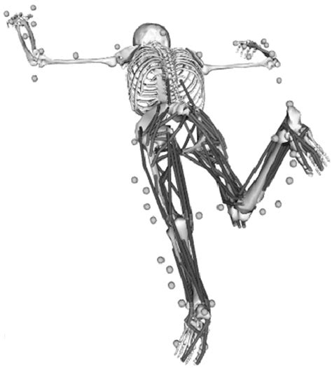 Figure From Comparison Of Lumbopelvic And Hip Movement Patterns