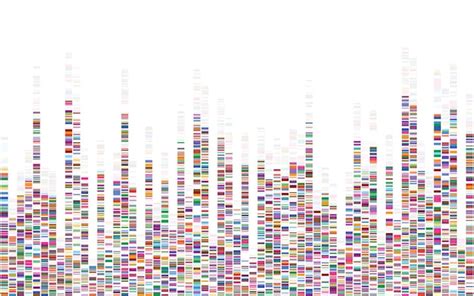 Premium Vector | Dna test infographic genome sequence map