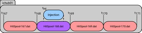 File Selection Processed Use During Signal Injection Each Hitspool