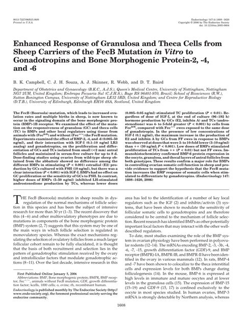 Pdf Enhanced Response Of Granulosa And Theca Cells From Sheep