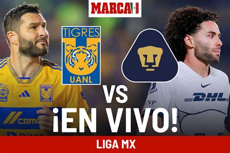 Tigres Vs Monterrey Vivo Roja Directa Corly Michaelina