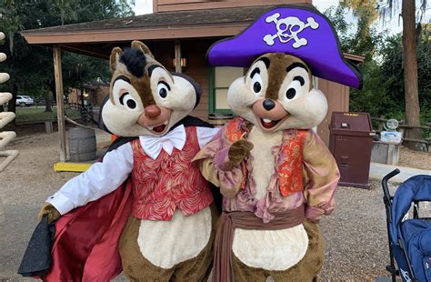 Chip And Dale Costumes