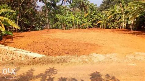 10 Cent Residential Plot For Sale In Mattannur Kannur REI841176