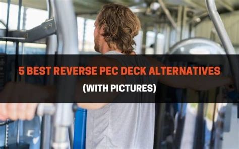 Best Reverse Pec Deck Alternatives With Instructions