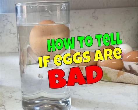 How To Tell If Eggs Are Good Or Bad Water Test Easy Science